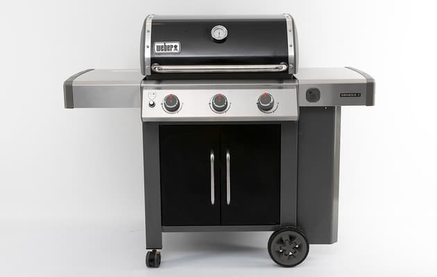 Weber Genesis II E315