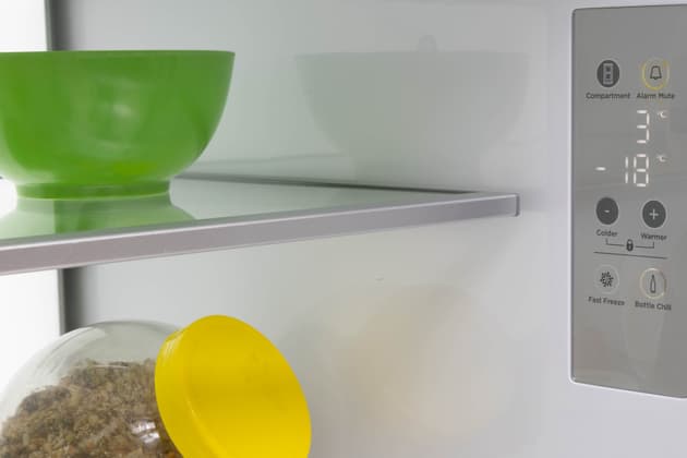 Fisher & Paykel RF500QNX1