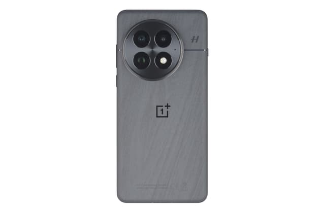 OnePlus 13
