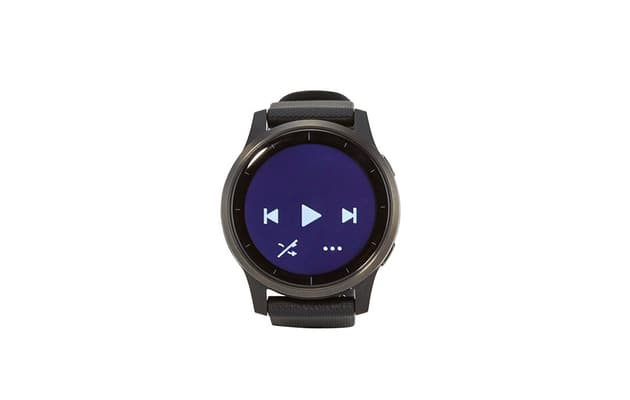 Garmin Vivoactive 4 (45mm)