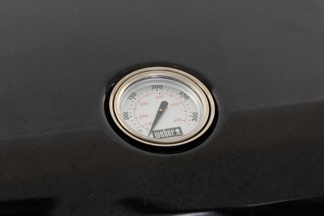 Weber Lumin + Stand